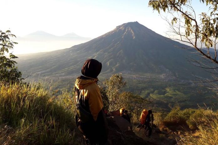 jalur pendakian gunung sindoro