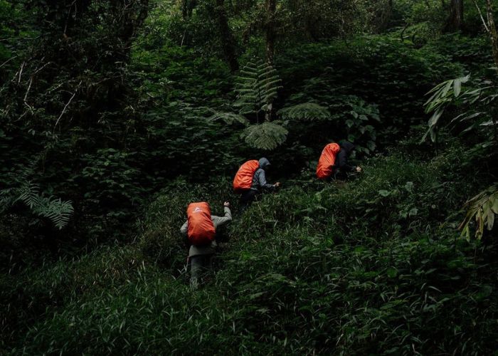 jalur pendakian gunung pananggungan
