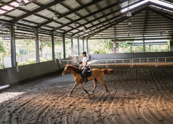 latihan berkuda