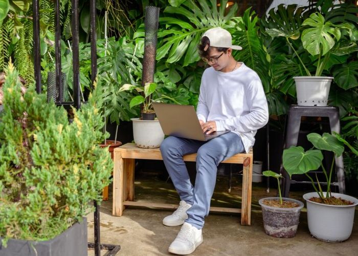 Tanaman Hias Outdoor yang Mudah Dirawat