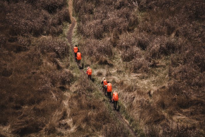 gunung terbesar di indonesia