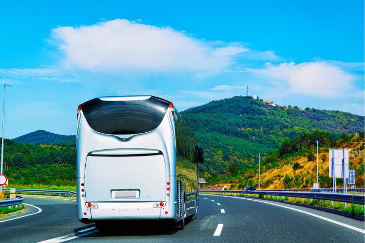 jalur pendakian gunung dempo