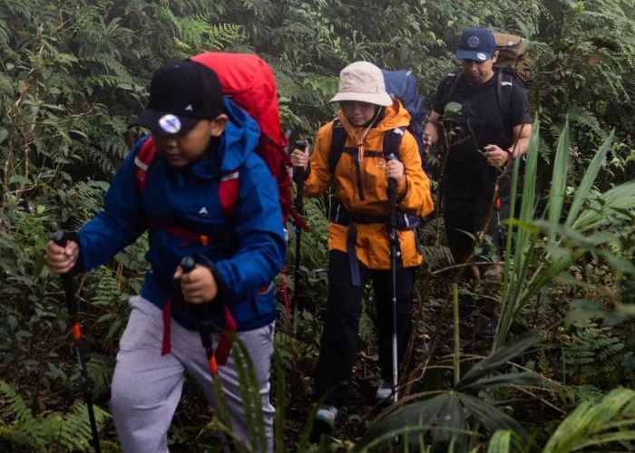 jalur pendakian gunung merapi