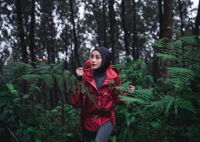 jalur pendakian gunung cikuray