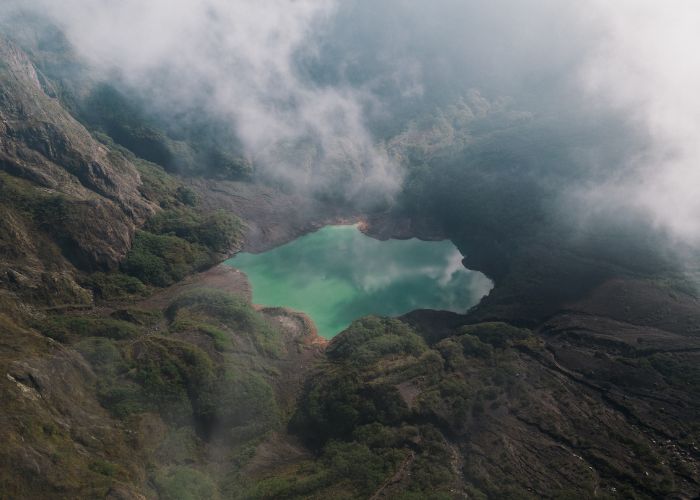 keanekaragaman hayati