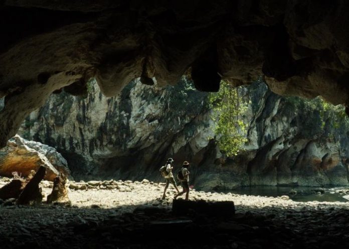 keanekaragaman hayati