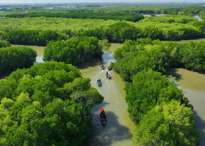 keanekaragaman hayati