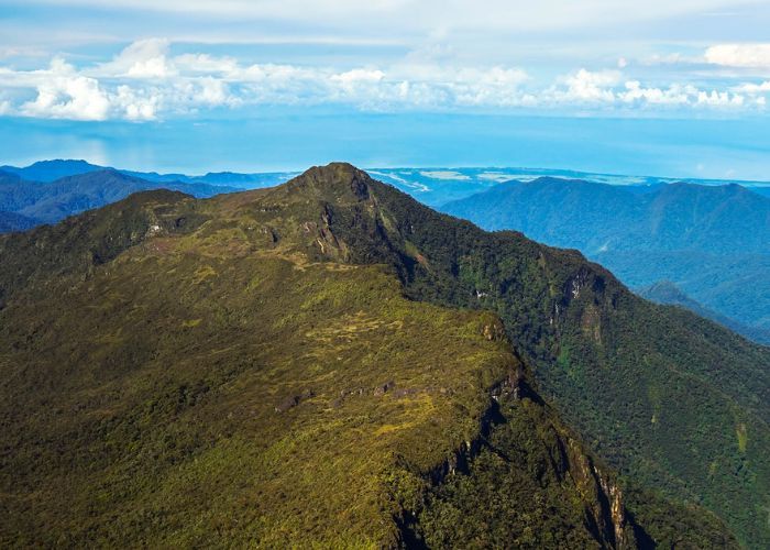 pendakian gunung leuser