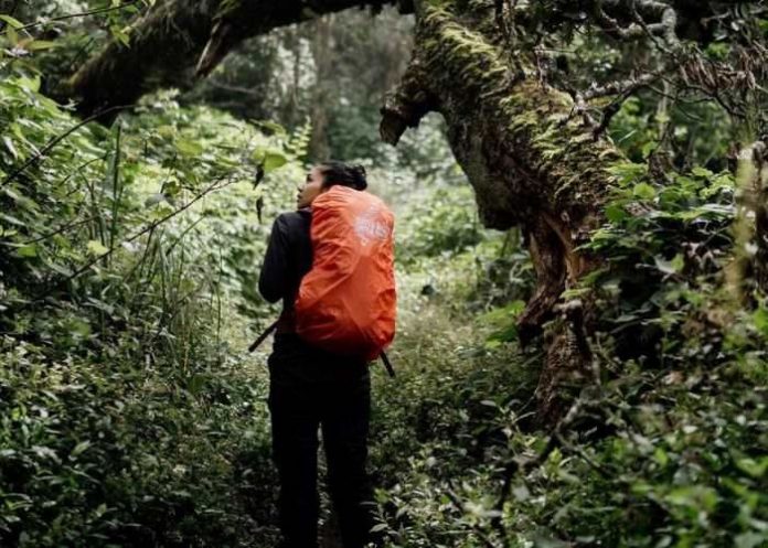 pendakian gunung leuser