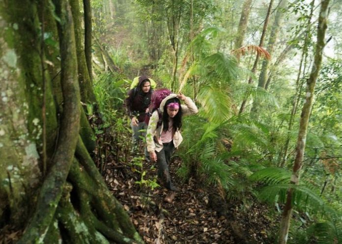 Jalur Pendakian Gunung Ungaran via Perantunan