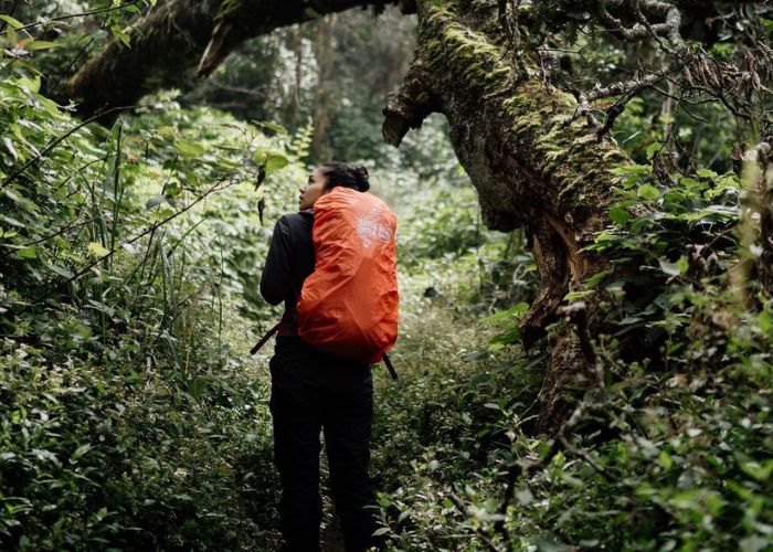 tips agar tidak tersesat di gunung