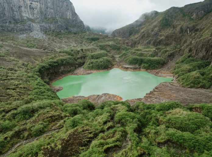 Hari konservasi alam