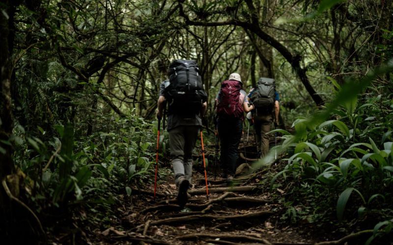 Kesalahan pendaki gunung yang harus dihindari