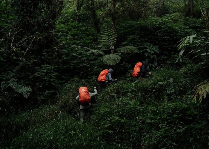 jalur pendakian gunung latimojong