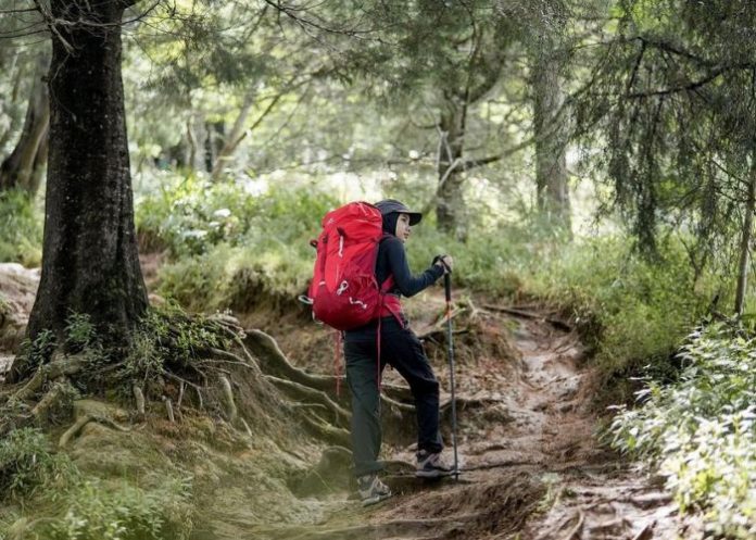tas gunung wanita