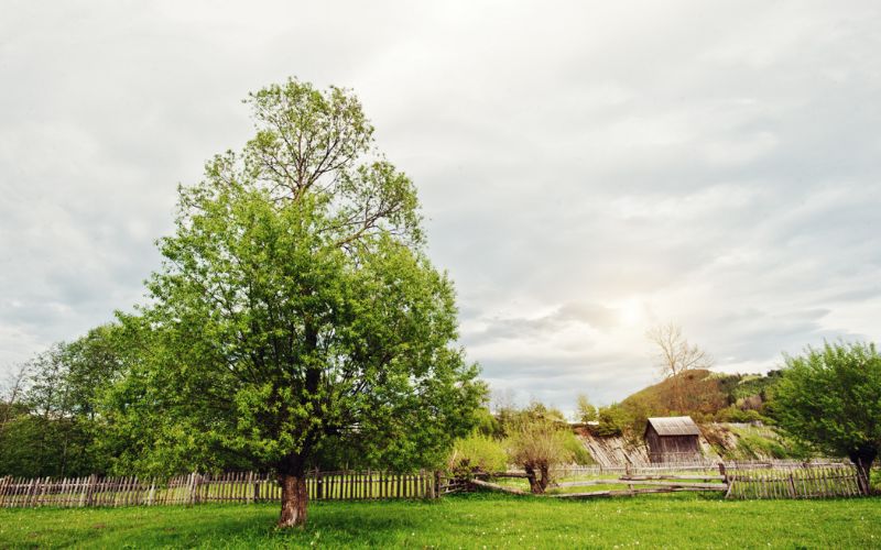 Desa wisata terbaik di Indonesia