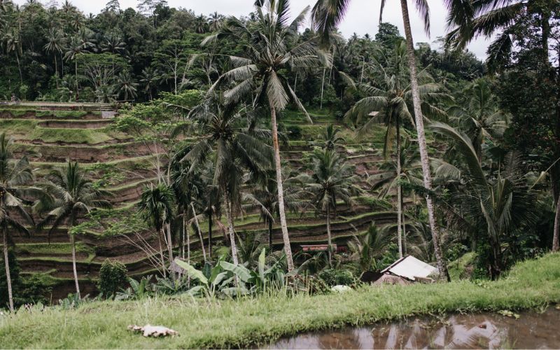 Desa wisata terbaik di Indonesia