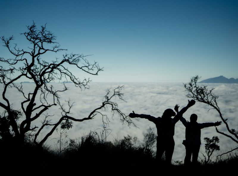 Menjaga keseimbangan mental sangat penting. Salah satu cara untuk mencapai keseimbangan ini adalah dengan melakukan detoksifikasi pikiran