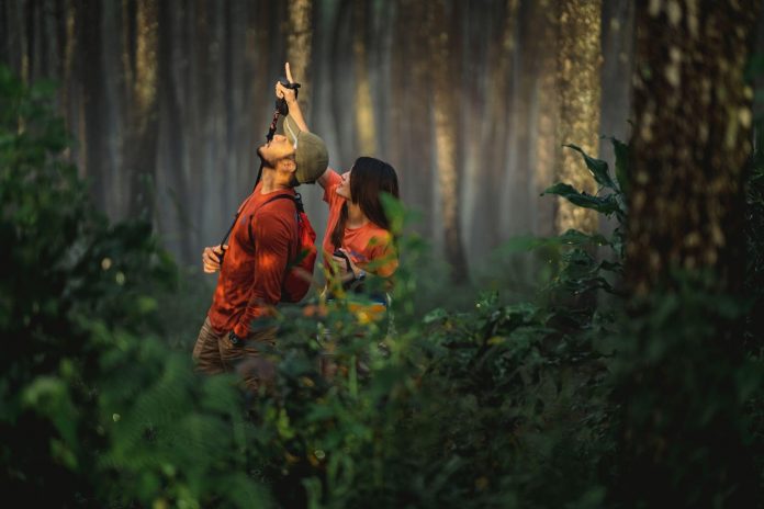 bertahan hidup di hutan