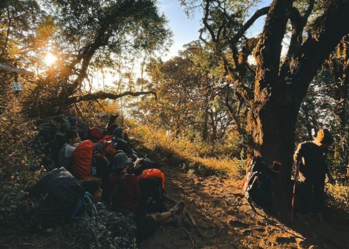 hiking survival gear