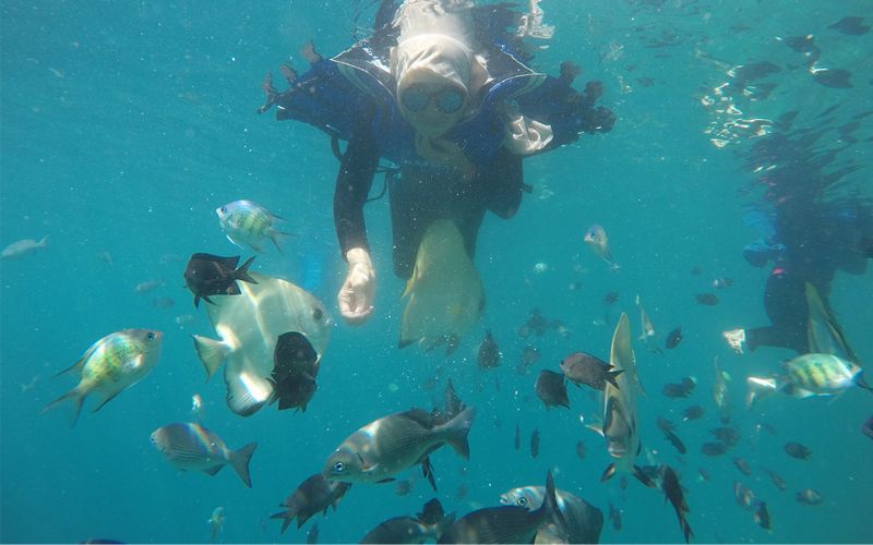 Wisata alam terbaik di indonesia