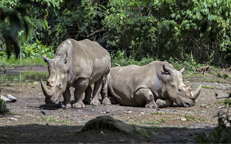 Wisata alam terbaik di indonesia