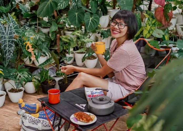 tanaman obat keluarga