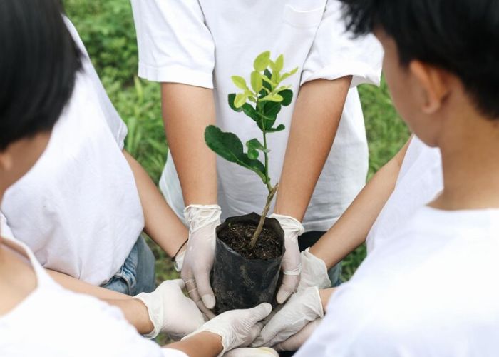 hari menanam pohon indonesia