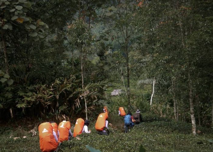 jalur pendakian gunung bismo