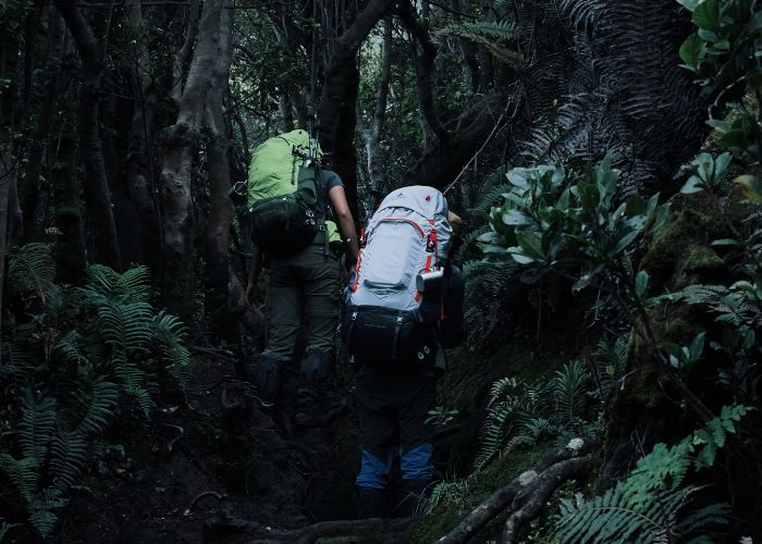 jalur pendakian gunung bismo