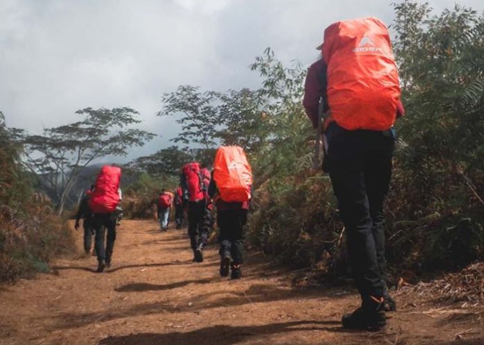jalur pendakian gunung bismo