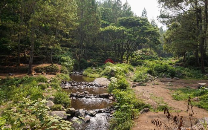 Bedengan camping ground