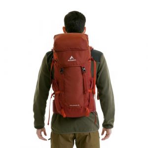 kapasitas-tas-carrier