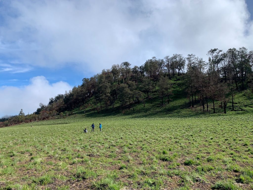 pemandangan Gunung Lawu