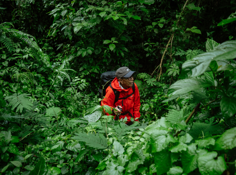 Tropic Insect Shield