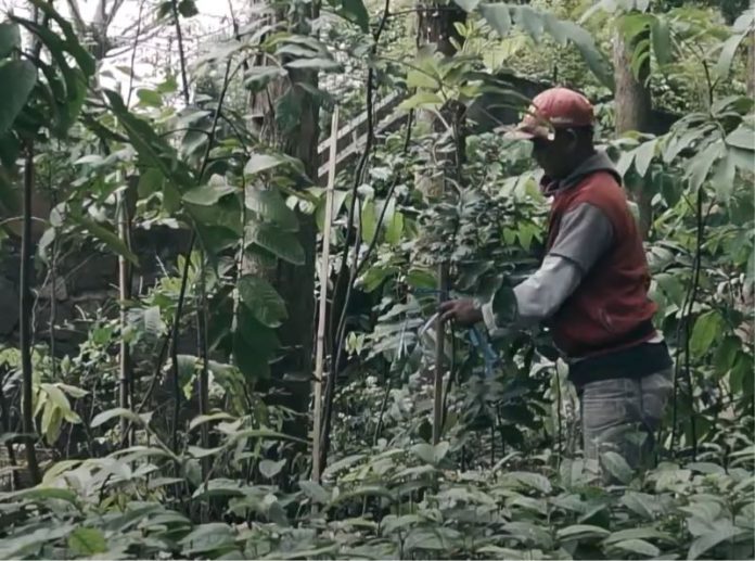 EIGER Peduli Lingkungan