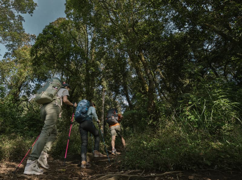 Rekomendasi Jalur Pendakian Gunung Ungaran