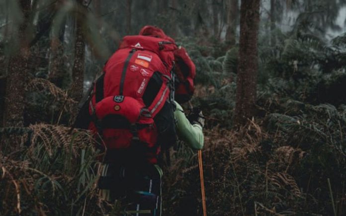 Gunung tertinggi di Asia Tenggara