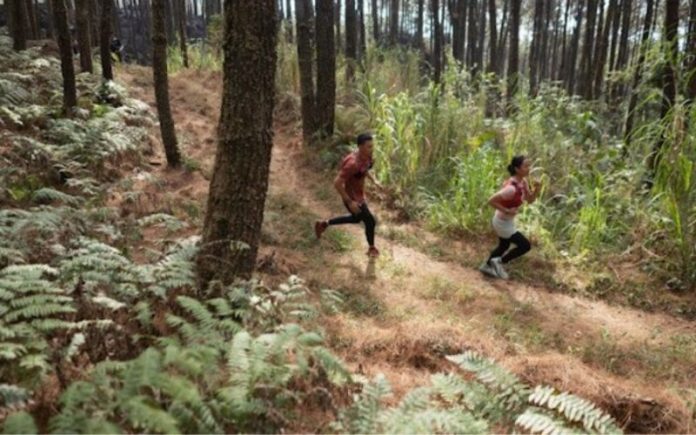 sepatu running lokal