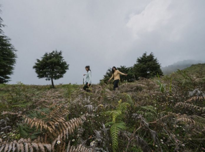 Keanekaragaman Hayati