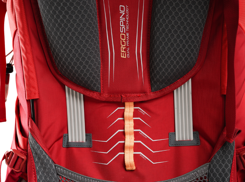 backsystem carrier ergospino