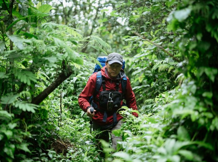 Rekomendasi Tempat Hiking di Bogor