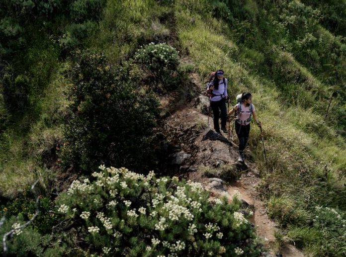 navigasi darat adalah