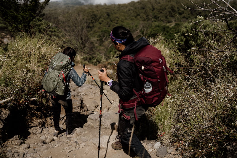 Jenis-Jenis Tongkat Mendaki 