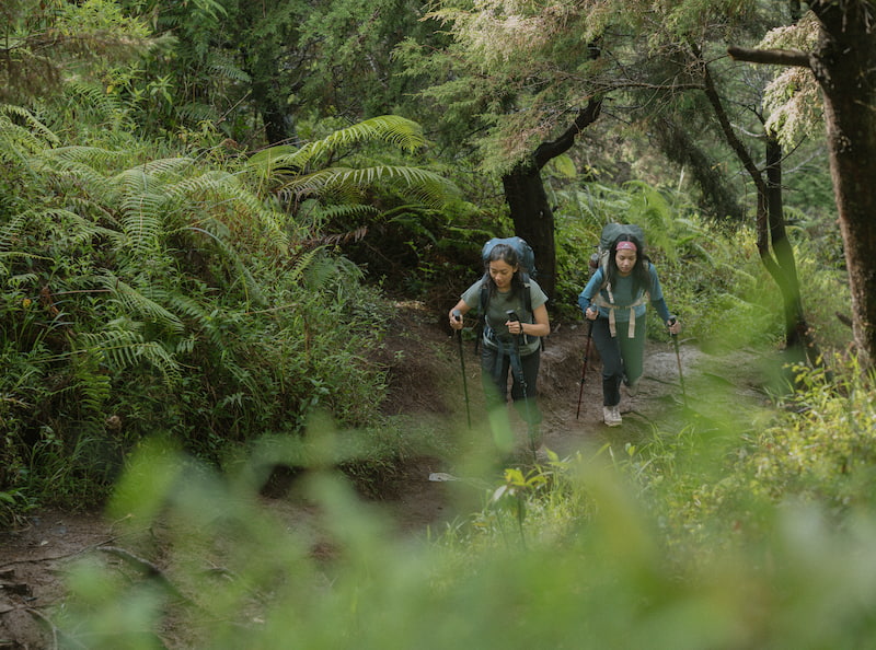 Lokasi Taman Wisata Alam Gunung Baung
