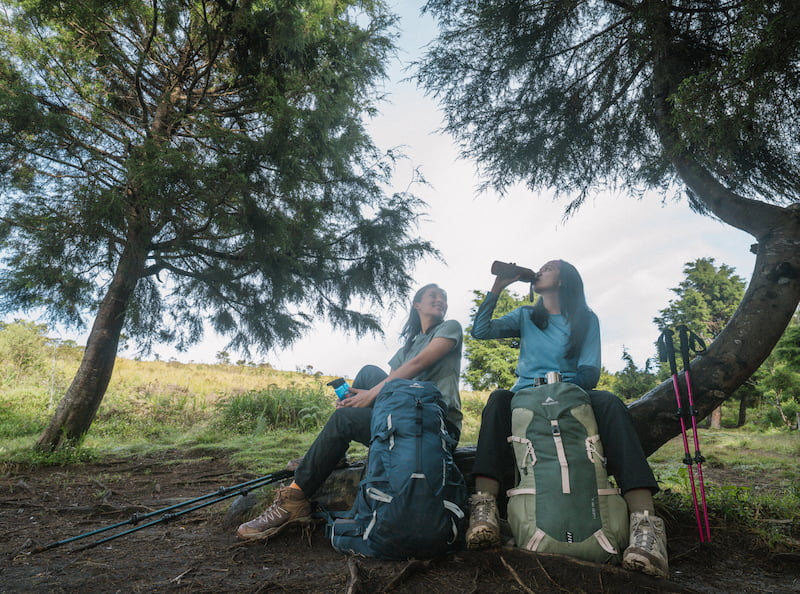 Jalur Pendakian Gunung Wilis
