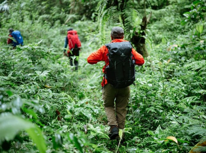 rekomendasi carrier 60 liter