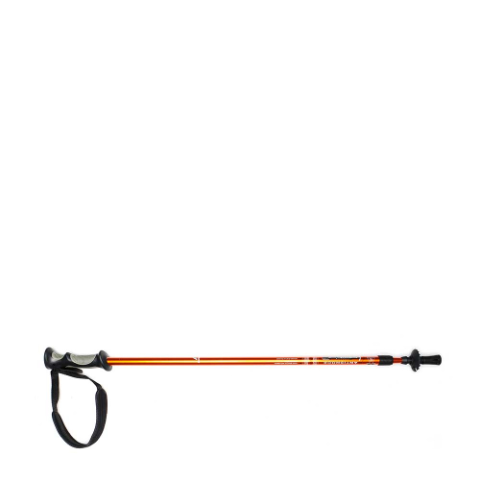 Trekking Pole 2 Section