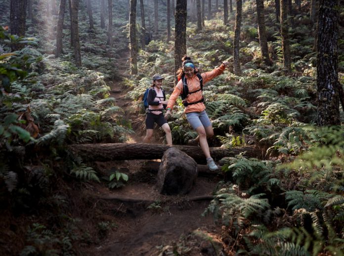 papandayan trail run