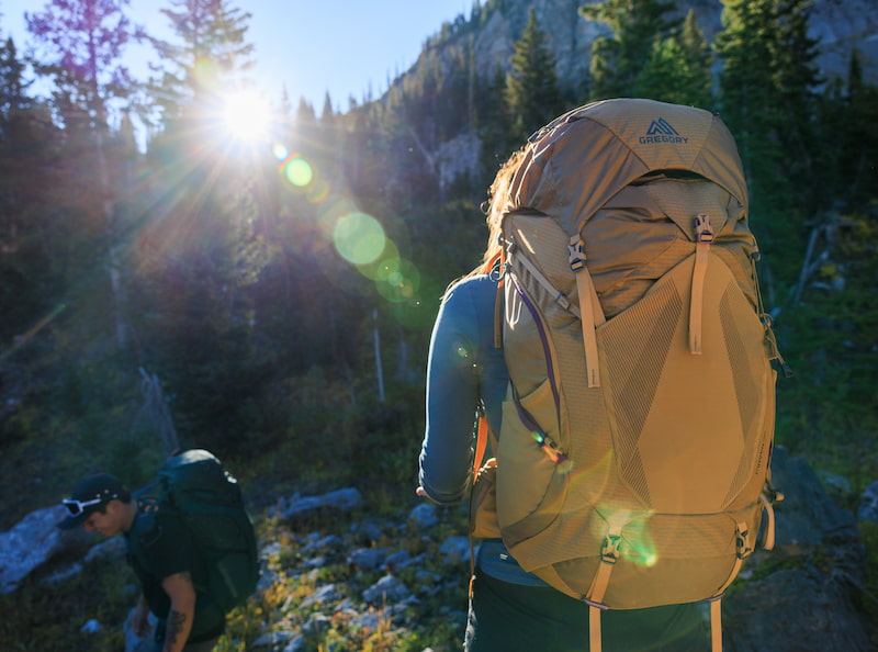 Backpack Gregory